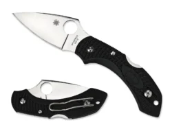 Vouwmes Spyderco Dragonfly 2