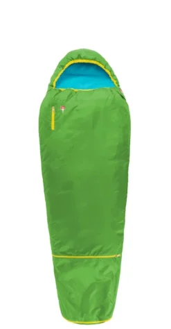 Slaapzak Grüezi Kids Grow Colorful Gecko Green Gecko Green