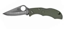 Vouwmes Ladybug 3 PE Groen Spyderco